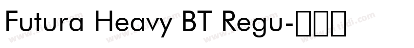 Futura Heavy BT Regu字体转换
